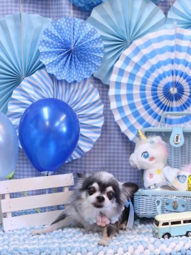 20231119クオンくん